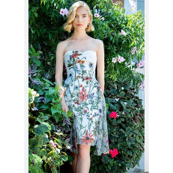 Eva Franco NWT Strapless Cocktail Dress 10 Anthropologie Holiday Party Wedding - Picture 2 of 13